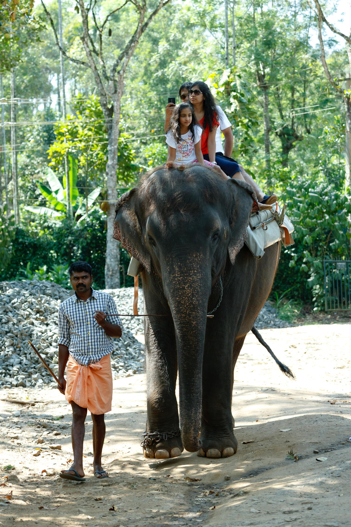 Elephant Ride 1